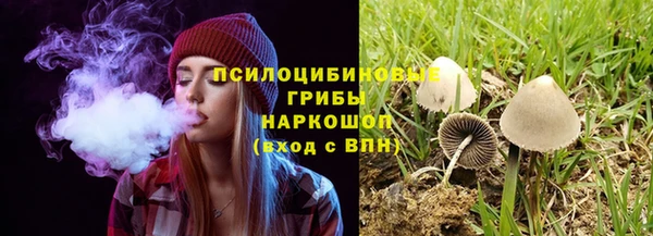 a pvp Абинск