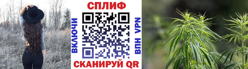 МАРИХУАНА OG Kush Скопин